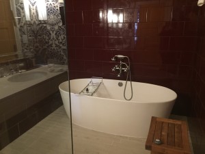 Bathroom -- open shower and deep tub