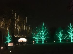 delaware-longwood-gardens-lights