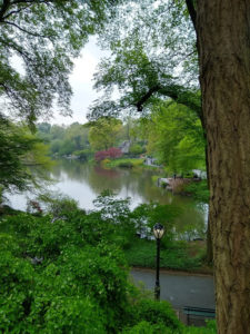 Central Park Tour